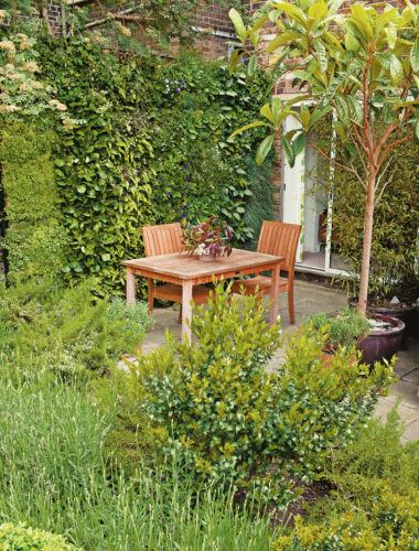 Best Living Wall Plants